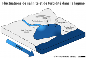 Fluctuations de salinité et de turbidité dans la lagune
