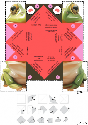 Cocotte en papier RANA la grenouille