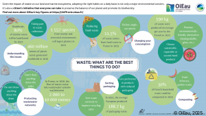 WASTE: WHAT ARE THE BEST THINGS TO DO?