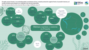 Hábitats marinos y costeros en Francia