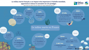 Le milieu marin en France