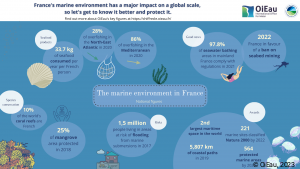 The marine environment in France