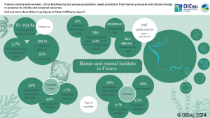 Marine and coastal habitats in France