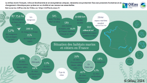 Situation des habitats marins et côtiers en France